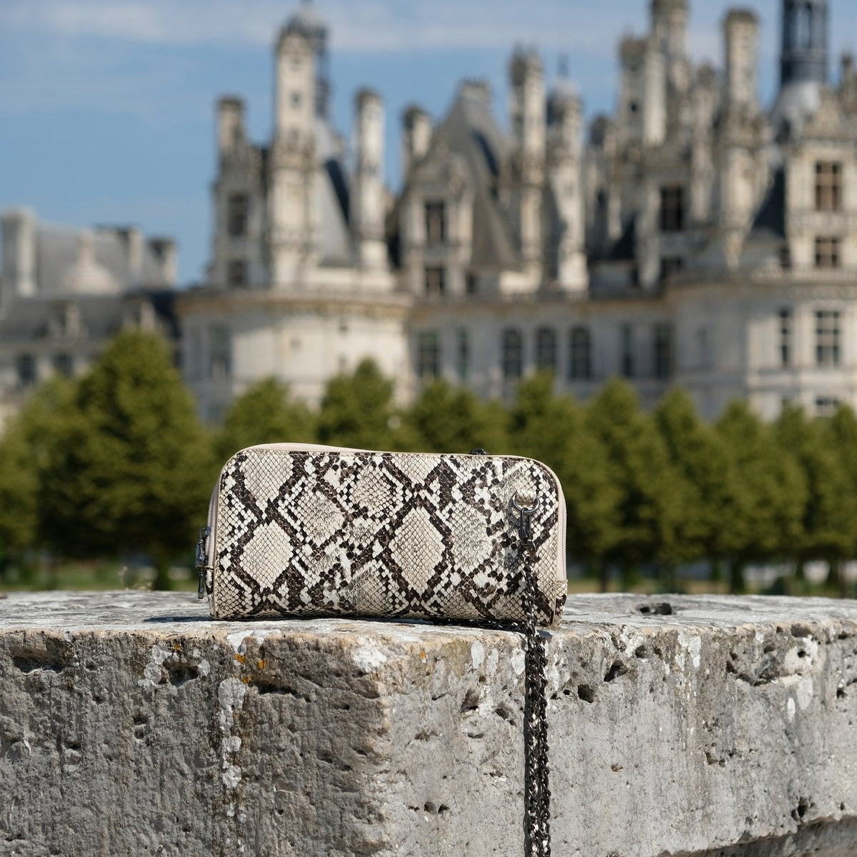 Petrel natural snake mini crossbody clutch styled at a chateau